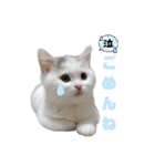 『ななこ』4 よく使う言葉(切り抜きver)（個別スタンプ：5）