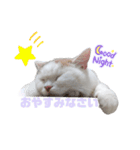 『ななこ』4 よく使う言葉(切り抜きver)（個別スタンプ：6）