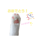 『ななこ』4 よく使う言葉(切り抜きver)（個別スタンプ：8）