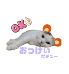 『ななこ』4 よく使う言葉(切り抜きver)（個別スタンプ：9）