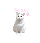 『ななこ』4 よく使う言葉(切り抜きver)（個別スタンプ：10）