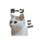 『ななこ』4 よく使う言葉(切り抜きver)（個別スタンプ：11）