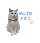 『ななこ』4 よく使う言葉(切り抜きver)（個別スタンプ：12）