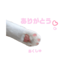 『ななこ』4 よく使う言葉(切り抜きver)（個別スタンプ：13）