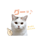 『ななこ』4 よく使う言葉(切り抜きver)（個別スタンプ：14）