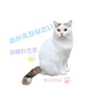 『ななこ』4 よく使う言葉(切り抜きver)（個別スタンプ：16）