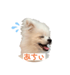 みるくんの岡山弁スタンプ（個別スタンプ：2）