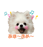 みるくんの岡山弁スタンプ（個別スタンプ：3）