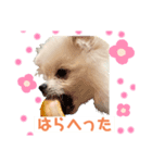 みるくんの岡山弁スタンプ（個別スタンプ：4）