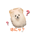 みるくんの岡山弁スタンプ（個別スタンプ：5）