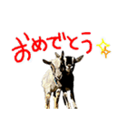 ハーモニィセンター⑥（個別スタンプ：2）