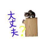 ハーモニィセンター⑥（個別スタンプ：7）