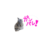ハーモニィセンター⑥（個別スタンプ：8）