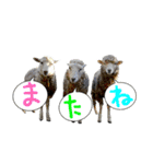 ハーモニィセンター⑥（個別スタンプ：10）