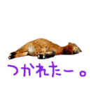 ハーモニィセンター⑥（個別スタンプ：14）
