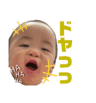 橘平すたんぷ3.5（個別スタンプ：16）