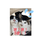 ペットの里(岩手県)寄付金付きスタンプ（個別スタンプ：3）