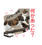 ペットの里(岩手県)寄付金付きスタンプ（個別スタンプ：8）