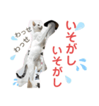 ペットの里(岩手県)寄付金付きスタンプ（個別スタンプ：18）