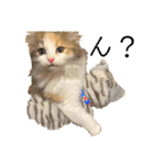 ぼくはチワペキのムギくんです。（個別スタンプ：27）