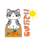 ぼくらのCATSストーリー（個別スタンプ：31）