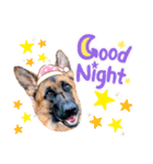 GermanShepherd ANNY（個別スタンプ：5）