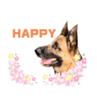 GermanShepherd ANNY（個別スタンプ：6）