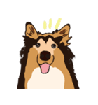 コリー - Rover（個別スタンプ：1）
