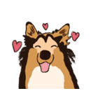 コリー - Rover（個別スタンプ：3）