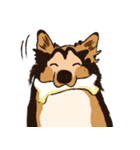 コリー - Rover（個別スタンプ：6）