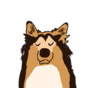 コリー - Rover（個別スタンプ：7）