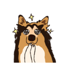 コリー - Rover（個別スタンプ：9）