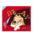 コリー - Rover（個別スタンプ：11）