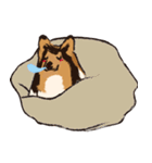 コリー - Rover（個別スタンプ：14）