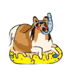 コリー - Rover（個別スタンプ：15）