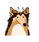 コリー - Rover（個別スタンプ：19）