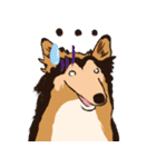 コリー - Rover（個別スタンプ：20）