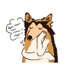 コリー - Rover（個別スタンプ：21）
