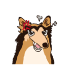 コリー - Rover（個別スタンプ：22）