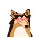 コリー - Rover（個別スタンプ：25）