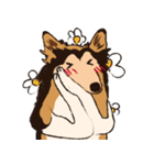 コリー - Rover（個別スタンプ：26）
