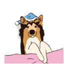 コリー - Rover（個別スタンプ：28）