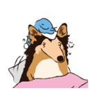 コリー - Rover（個別スタンプ：29）