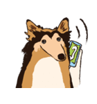 コリー - Rover（個別スタンプ：31）