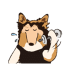 コリー - Rover（個別スタンプ：34）