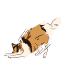 コリー - Rover（個別スタンプ：38）