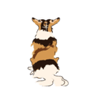 コリー - Rover（個別スタンプ：39）