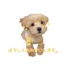 みんなだいすき！ヒナえもん（個別スタンプ：3）