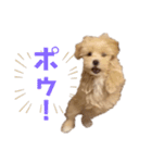 みんなだいすき！ヒナえもん（個別スタンプ：7）