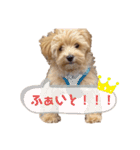 みんなだいすき！ヒナえもん（個別スタンプ：12）